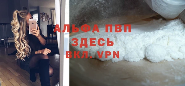 стаф Покачи