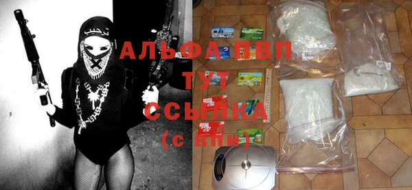 стаф Покачи