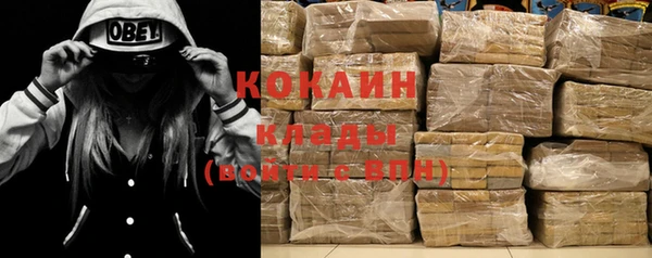 стаф Покачи