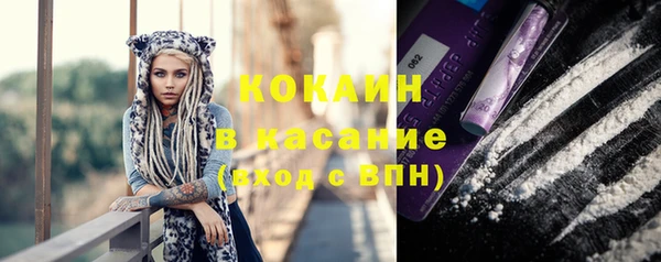 стаф Покачи