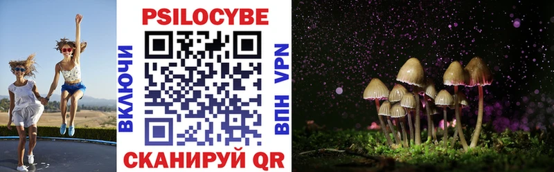 kraken сайт купить цена Пионерский Псилоцибиновые грибы GOLDEN TEACHER